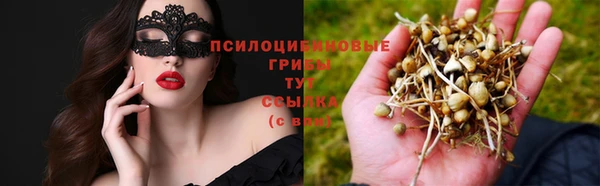 прущие крисы Краснотурьинск