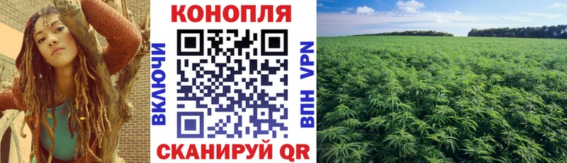 Бошки Шишки тримм  Купить закладки  Аша 